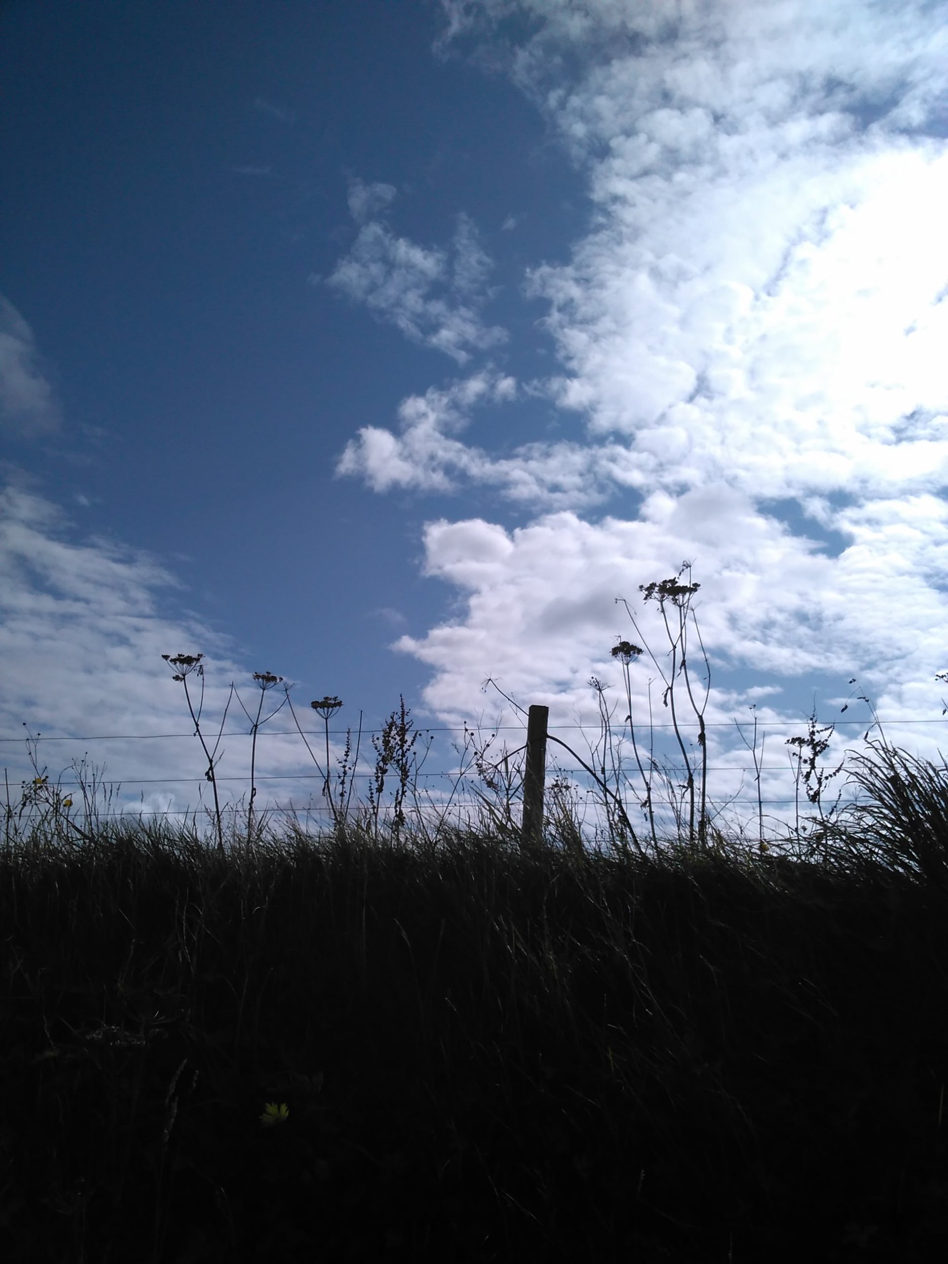 Scapa 100, epic poem, Gabrielle Barnby, Deerness Gin, Orkney, German Fleet, 1918. 1919 Scapa 100, epic poem, Gabrielle Barnby, Deerness Gin, Orkney, German Fleet, 1918. 1919